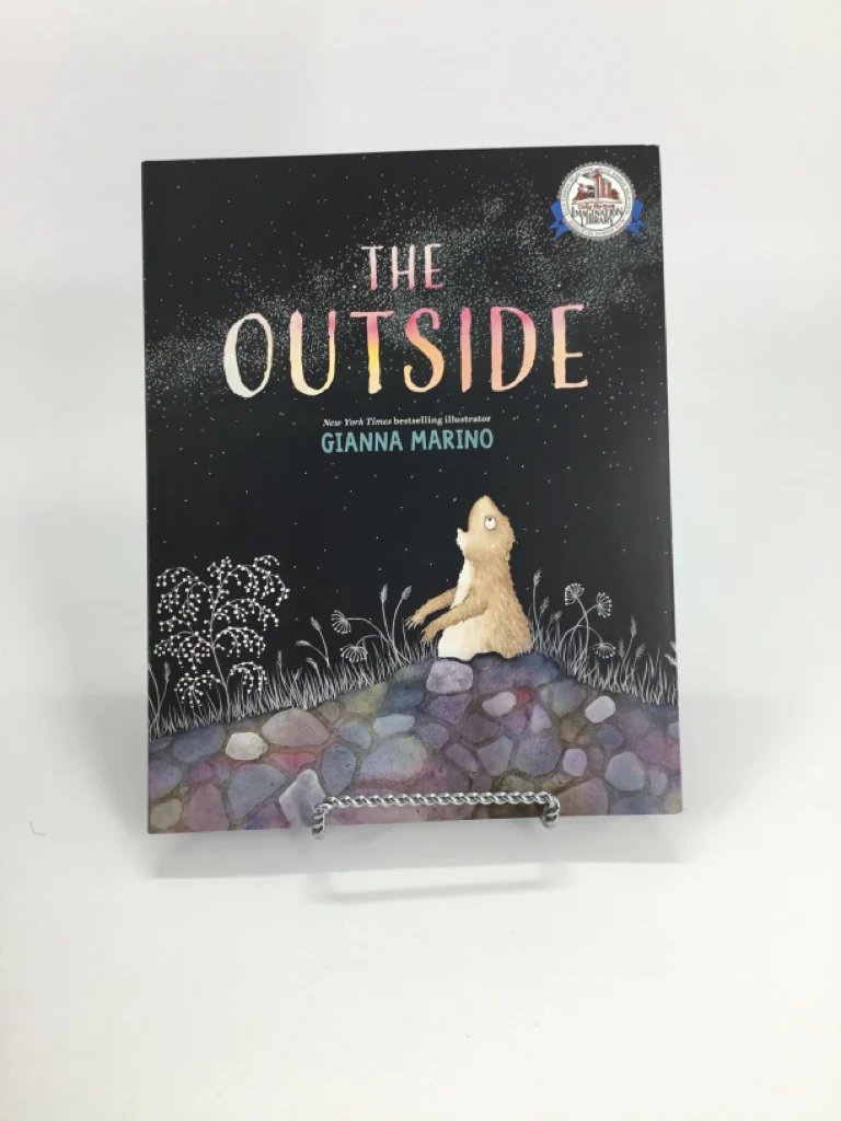 The Outside Paperback Book